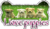 GIF animado (10624) I love puppies
