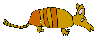 GIF animado (8733) Icono armadillo