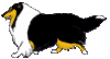 GIF animado (10711) Icono collie