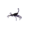 GIF animado (6609) Icono escorpion