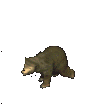 GIF animado (10334) Icono oso pardo