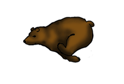GIF animado (10335) Icono oso pardo corriendo