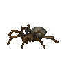 GIF animado (6623) Icono tarantula