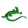 GIF animado (11240) Iguana