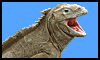 GIF animado (11246) Iguana