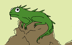 GIF animado (11258) Iguana dibujos