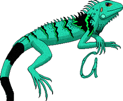 GIF animado (11272) Iguana verde