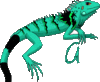 GIF animado (11272) Iguana verde