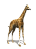 GIF animado (9414) Jirafa