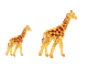GIF animado (9430) Jirafa cria jirafa