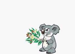 GIF animado (9483) Koala enfadado