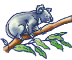 GIF animado (9495) Koala subido arbol