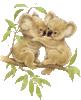 GIF animado (2207) Koalas enamorados