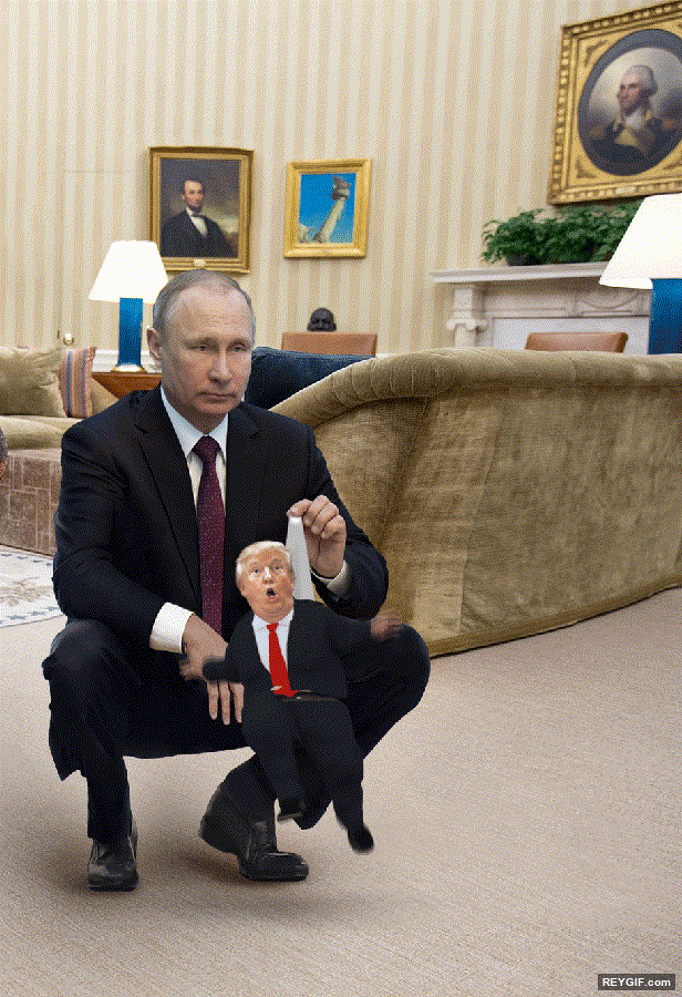 GIF animado (116268) La verdad detras de la presidencia de trump