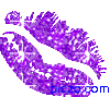 GIF animado (2622) Labios glitter8