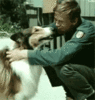 GIF animado (10714) Lassie
