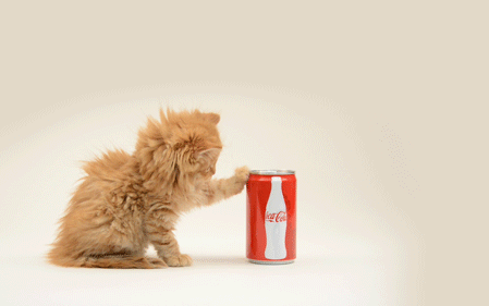 GIF animado (491) Lata coca cola gato