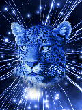 GIF animado (9574) Leopardo