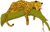 GIF animado (9576) Leopardo