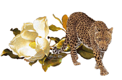 GIF animado (9587) Leopardo flor