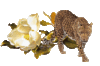 GIF animado (9587) Leopardo flor