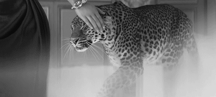 GIF animado (9592) Leopardo mujer