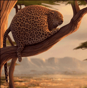 GIF animado (9599) Leopardo regordete