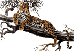 GIF animado (9602) Leopardo subido arbol