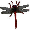GIF animado (8352) Libelula con las alas en movimiento