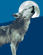 GIF animado (10906) Lobo aullando a la luna llena
