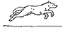 GIF animado (10907) Lobo corriendo