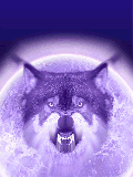 GIF animado (10909) Lobo y la luna llena