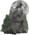 GIF animado (10911) Lobo y la luna llena