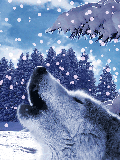 GIF animado (10912) Lobo y la nieve