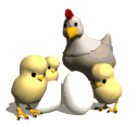 GIF animado (7363) Mama con los pollitos