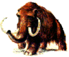 GIF animado (9631) Mamut