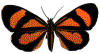 GIF animado (8366) Mariposa