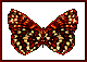 GIF animado (8370) Mariposa