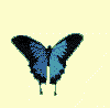 GIF animado (8379) Mariposa azul