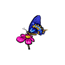 GIF animado (8431) Mariposa azul