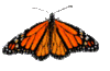 GIF animado (8381) Mariposa batiendo las alas