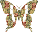 GIF animado (1901) Mariposa glitter