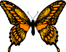 GIF animado (8413) Mariposa monarca