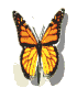 GIF animado (8388) Mariposa moviendo las alas