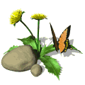 GIF animado (8434) Mariposa sobre flores