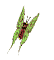 GIF animado (8393) Mariposa verde