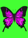 GIF animado (8394) Mariposa violeta