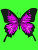 GIF animado (8394) Mariposa violeta