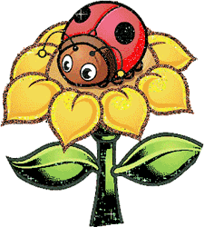 GIF animado (8465) Mariquita flor