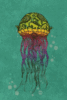 GIF animado (6158) Medusa colorida